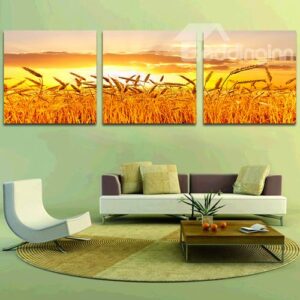 Beautiful Field Wheat 3-Piece Crystal Film Art Wall Print