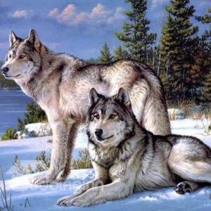 Masculine Adventurous Snow Wolf 1-Piece DIY Diamond Sticker