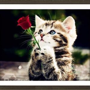 Wonderful Cute Kitten 1-Piece DIY Diamond Sticker