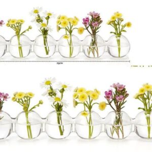 Creative 6-Pieces Siamesed Glass Vase Water Planting Glass Vessel