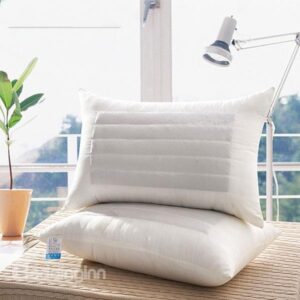 Buckwheat Fillded Health Care Single Bed Pillows