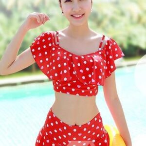 Classic Cute Dots 2 Pieces Red Skirt Bikini