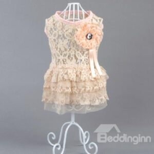 Amazing Pretty Sweet Lace Pink Dress Dog Clothing