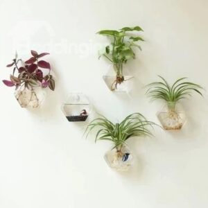 Wonderful 1-Piece Wall Hanging Hexagonal Glass Vase