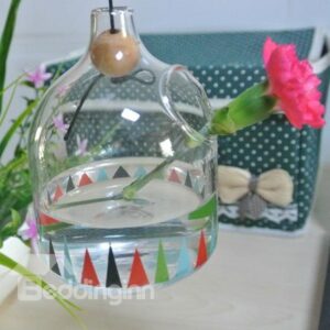 Fantastic Hand Blown Hydroponics Hanging Glass Vase