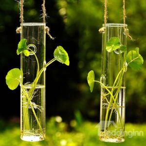 Top Selling Creative Cylindrical Glass Flower Vase
