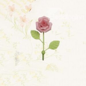 Top Selling Double Color Rose Flower Wall Hook
