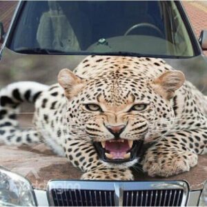 Lifelike American Leopard Car Engine Cover Sticker