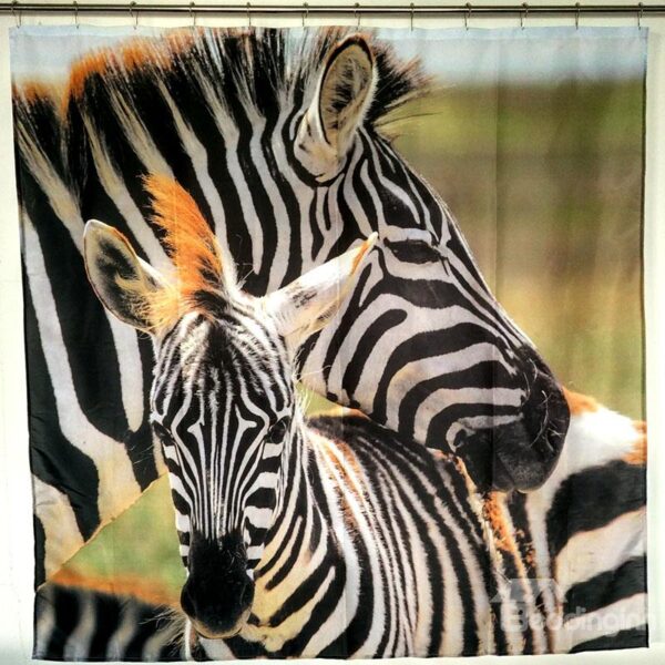 The New Zebra Europe Type Polyester 3D Shower Curtains