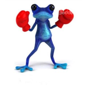 The Strong Boxing Frog Car Sticker