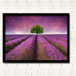 Dreamy Lavender Field Wall Prints