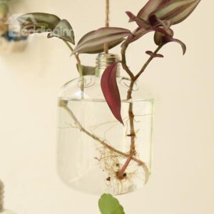 Creative Bulb Design Glass Hanging Flower Vase