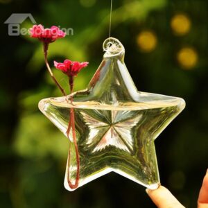 Creative Decorative Star Design Hanging Flower Vase