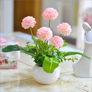 Stunning 4-Color Hydrangea Flower Set with Pot