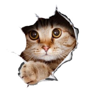 Super Cute Vivid 3D Little Cat Removable Wall Sticker