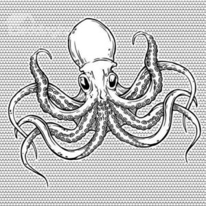 Fancy Big Head Octopus Gray Shower Curtain