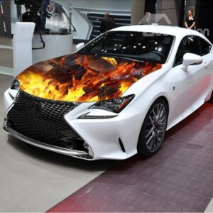 Horrible Fire Monster Printing Car Stickers