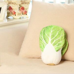 Fresh and Creative Nice Quality Fashional Cabbage Pattern Bloster