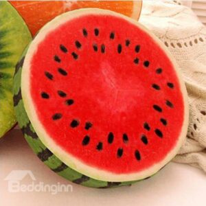 New Arrival Novelty and Comfort Vivid Soft Watermelon Pattern Bloster