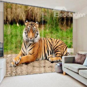 3D Crouching Tiger Light Blocking Curtain