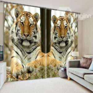 3D Double Tiger Light Blocking Curtain