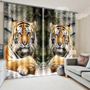 3D Adorable Tigers Light Blocking Curtain