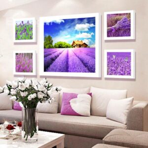 Gorgeous High-Definition Lavender Field 5-Panel Wall Art Prints