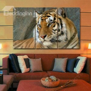 Majestic Tiger High-Definition 3-Panel Frameless Wall Art Prints