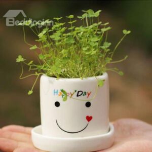 Cute New Arrival Fresh Air DIY Pot Plant