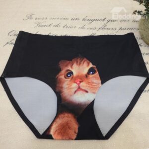 Unique Rip Design Lovely Cat Print Hipsters Anti-exposure Underwear