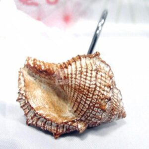 Unique Sea Snail Design Resin Shower Curtain Hooks