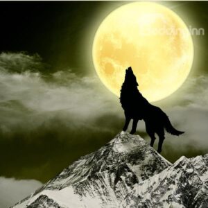 Amazing Wolf Howling in Bright Full Moon DIY Diamond Stickers