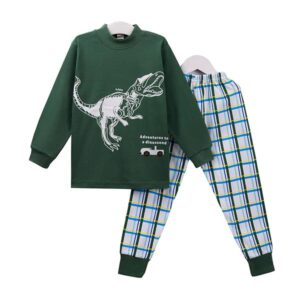 Green Dinosaur Print and Plaid Pattern Kids Pajamas