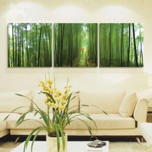 Wonderful Girl Walking in Bamboo Woods 3-Panel Wall Art Prints