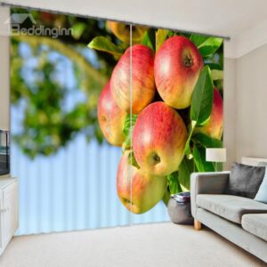 Vivid 3D Digital Print Energy Saving Curtain