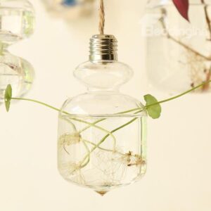Unique Modern Bulb Design Glass Wall Flower Vase