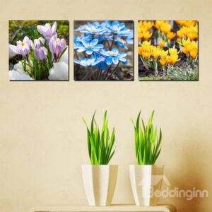 Gorgeous 3-Color Flower Canvas 3-Panel Wall Art Prints