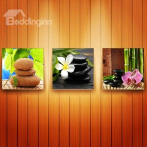 Fantastic Flowers and Pebble Canvas 3-Panel Wall Art Prints