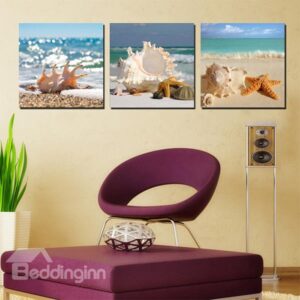 Wonderful Beach Seashells and Stafish Canvas 3-Panel Wall Art Prints