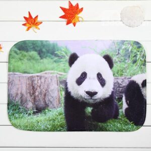 Adorable Pandas in Wild Coral Velvet Anti-Slipping Doormat