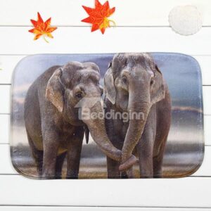 Amazing Two Elephants Coral Velvet Anti-Slipping Doormat