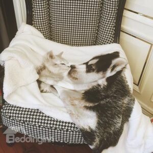 Cute Kissing Cat and Dog Print Coral Fleece Blanket