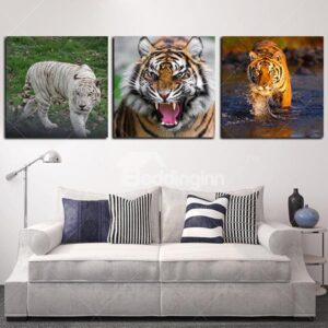 Fantastic Tigers Picture Sets Frameless 3-Panel Wall Art Print