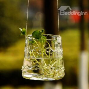 Creative Home Decoration Hanging Glass Wall Vase