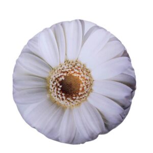 Vivid 3D Big White Flower Design Plush Cushion