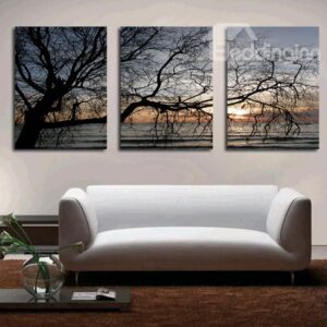 Unique Bare Tree Branches in Sunset 3-Panel Canvas Wall Art Prints