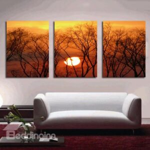 Fascinating Bare Trees in Sunset 3-Panel Canvas Wall Art Prints
