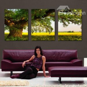 Thriving Tree in Fields 3-Panel Canvas Wall Art Prints