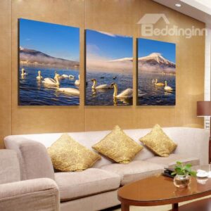 Wonderful Swans Swimming in the Lake 3-Panel Canvas Wall Art Prints