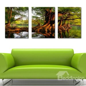 Amazing Banyan Tree in Water 3-Panel Canvas Wall Art Prints